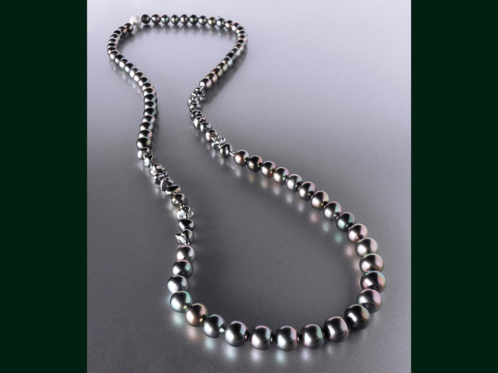Cultured Black Lipped Oyster Pearls＞クロチョウ真珠 | 静岡の